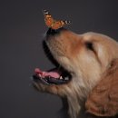 조준농장 이미지