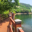 영수공원길 이미지