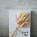 땡글땡굴 이미지