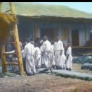 백의민족 이미지