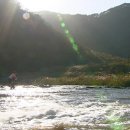 긴머리 소녀 이미지