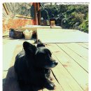 바다나라민박 이미지