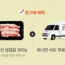 일상정