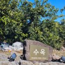 풀빌라수옥 | 제주뷰가좋운숙소 제주도풀빌라 수옥에 다녀온 내돈내산 후기