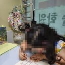 크리아트미술학원 | 동탄미술학원 반송동초등미술 크리아트 동탄다은마을교육원 수업후기