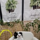 BOB영등포점 이미지