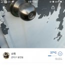 당근마켓의 구인광고 이미지