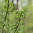 민철농장 이미지