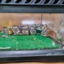 센트럴 곤충생태농장 이미지