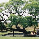 용비농장 이미지