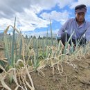 소도수산 이미지