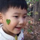 산내들생태어린이집