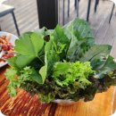 구장길 | 안성 맛집 양성 '옛날오리', 고기가 신선해 다시 찾게 되는 곳