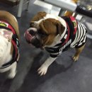 진주PC방 이미지