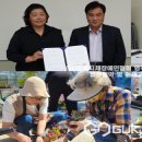 법인베리벨벳