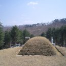 이거이사패비 이미지