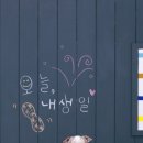 펫더제인 - 용인시 기흥구 구성로279번길 2 | 펫더제인