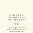 주야