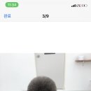 몽보드레 이미지