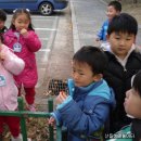 당평초등학교 이미지