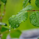 온달관광지 이미지