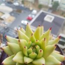 동운슈퍼 이미지