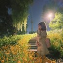 신사1-004 | 6월 1일~15일 일기