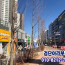 제이에스(JS)메디칼 이미지