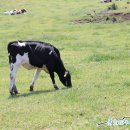 서귀포시청 제2청사 별관 이미지