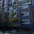 리틀포도나무어린이집 네이버블로그