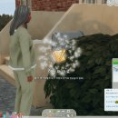 대심농장 이미지