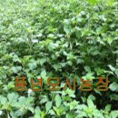 어물농장 이미지