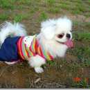 다래동물병원 이미지