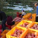 다마소리 이미지