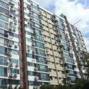 강남-099 이미지