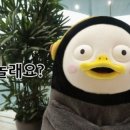 젠이미장원 이미지