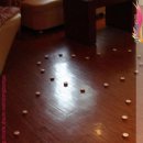 프로포즈모텔 이미지