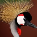 VIP세탁소 이미지