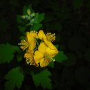 파주스타디움 이미지