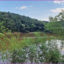 중동소류지 이미지