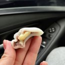 김치로L | 마켓컬리 추천템 장바구니 공개 l 내돈내산 리얼 후기