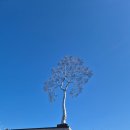 갤러리 | 양평 이재효갤러리 후기 (양평 가볼만한곳)