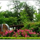 서곶공원(운동장) 이미지