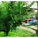 나들농장 이미지