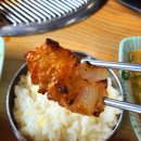 금악정육식당