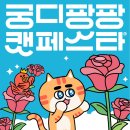 배드펫컴퍼니 이미지