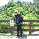 등대길26 이미지