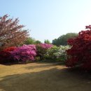 완산공원(아래) 이미지