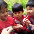 금산초병설유치원 이미지