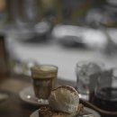 스타일펫츠 이미지